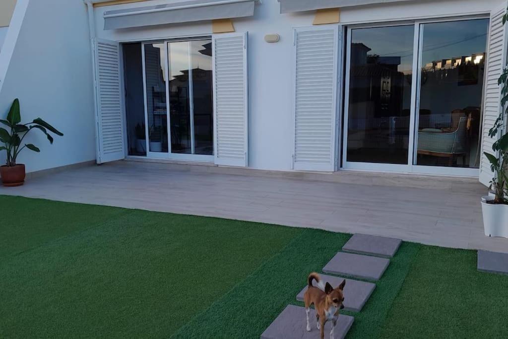 Gale Premium House - Pet Friendly Villa Albufeira Exterior photo
