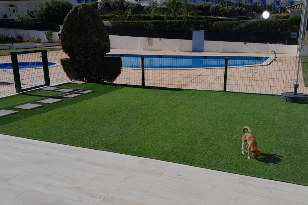 Gale Premium House - Pet Friendly Villa Albufeira Exterior photo